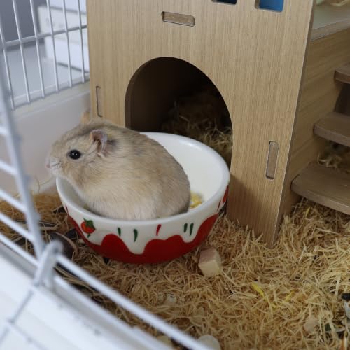 3.4oz Small Animal Food Bowl, Heavy Anti-Tipping Ceramic Pet Bowls with Strawberry Pattern, Hamster Water Bowl for Gerbils/Guinea Pigs/Reptile/Bird, Easy to Clean Hamster Bowl (Red, A) - color: Red