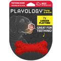Playology Puppy Teething Bone Dog Chew Toy - Small, Beef Scent | Great For Puppies and Young Dogs, Teeting Nubs Soothe Gums, Durable Rubber, Small Breed - size: Small, style: Beef