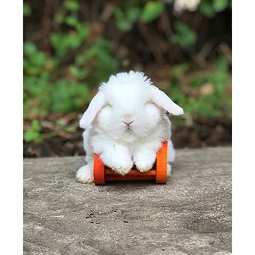 Barrel Roller Toy - Fun Interactive Rolling Wooden Cage Toy Accessory & Safe Chew - Hedgehogs, Guinea Pigs, Rabbits, Prairie Dogs, Chinchillas, Degus, & Other Small Pets