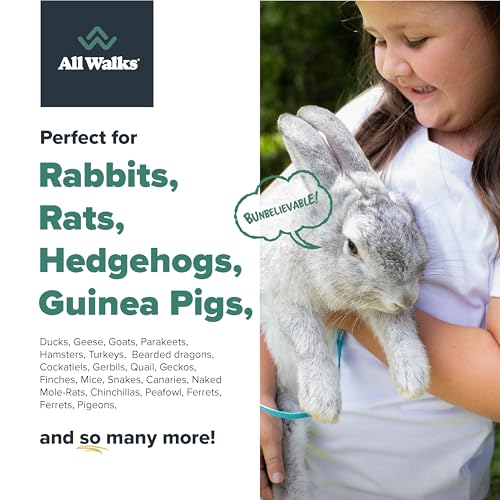 | Hemp Bedding for Small Animals, 4 x 10L Bags 40L Total (8 LBS) | Low Dust, Odor Control, Highly Absorbent, Natural Cage Bedding for Rabbits, Guinea Pigs, Hamsters, Birds and More - size: 40L