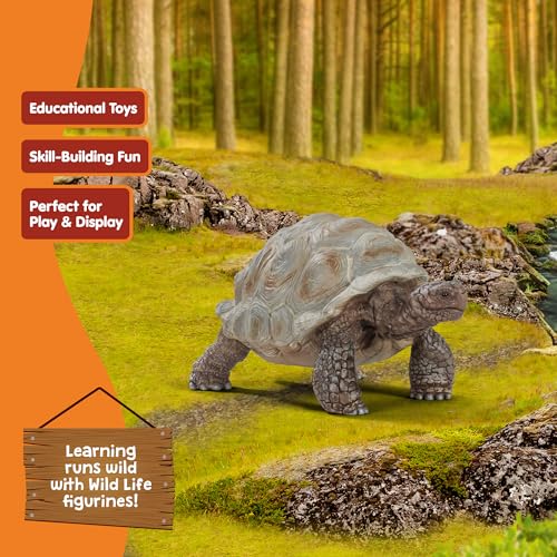 Schleich Wild Life - 3" Galapagos Giant Tortoise Figure - Realistic Turtle Toy for Boys and Girls - Wild Animal Educational Toy - Zoo Wildlife Figurine for Toddlers and Kids Ages 3+ | 13337