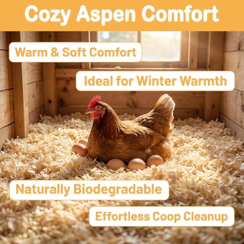 Sukh 31 OZ Chicken Coop Bedding - Aspen Shavings Small Animal Bedding | Odor Control Nesting & Winterizing Supplies for Chicken House, Small Pets, Guinea Pig, Rabbit, Chinchilla, Bird & Gerbil