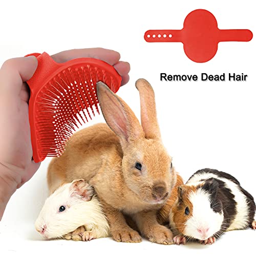 Patelai 4 Pieces Bunny Grooming Kit Rabbit Nail Clipper Rabbit Brush Hair Remover Shampoo Brush with Adjustable Ring Handle for Rabbits Guinea Pig Hamsters Puppy Kitten Hamster Ferret(Pink, Red) - color: Pink, Red
