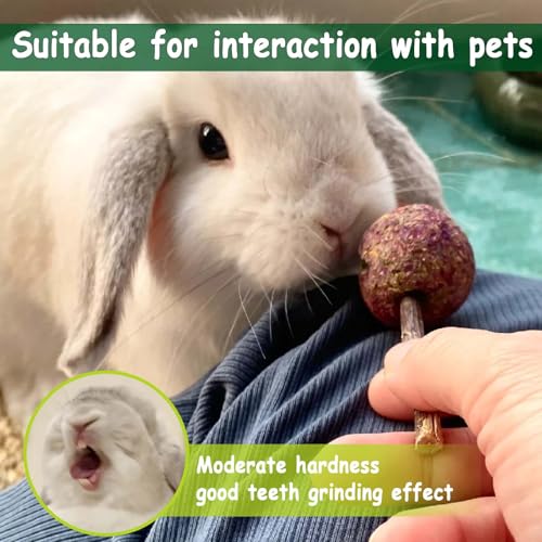 kathson 16PCS Rabbit Timothy Hay Treats Sticks,Interactive Bunny Lollipop Chew Sticks,Natural Guinea Pigs Chewing Treats Molar Teeth Toys for Small Animals,Chinchilla,Hamster,Gerbil