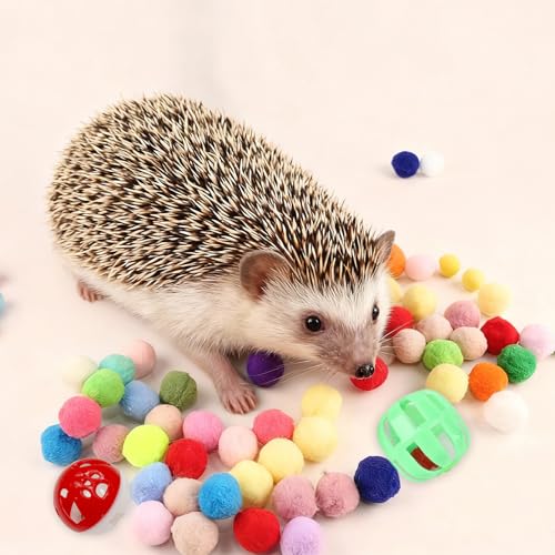 Hedgehog Dig Box Tray Set, Funny Hedgehog Enrichment Toy for Cage Accessories, Small Animal Ball Bells for Hamster Guinea Pig Ferret