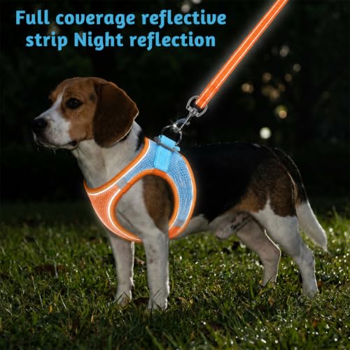 Rabbit Harness and Leash Set Adjustable Cute Bunny Collar | Small Pet Cute Vest Harness-Leash Double Buckle with Reflective Strips Pets Stuff for Rabbit Guinea Pig Duck Stuffed Animal