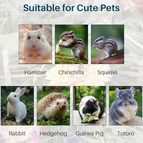 Sukh Hamster Bedding Odor Control - 200G Flowers & Herbs for Small Animals | Natural Habitat Decor and Forage Material for Dwarf Hamster, Chinchilla, Guinea Pig, Rabiit, Gerbil, Mice, Lemming