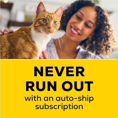 Purina Tidy Cats Clumping Cat Litter Odor Control, Free and Clean Unscented Multi Cat Litter - 16 lb. Bag (Pack of 2) - size: 16 Pound (Pack of 2)