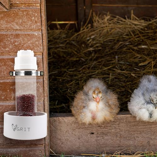 Kalekey 2 Pack Transparent PVC Chicken Feeder, Oyster Shell and Grit Feeder Hanging Ground Chicken Coop Feeder with Hanging Hook for Hens & Chicks (White) - color: White