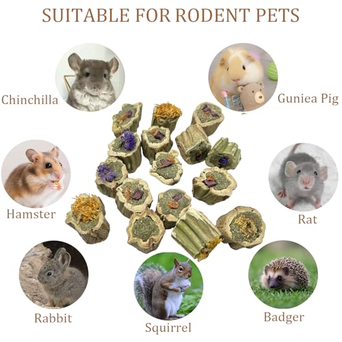 Rabbit Chew Toys for Teeth Guinea Pig Treats Papaya Wood for Bunny (7oz) | bunny supplies,rabbit enrichment toys,rabbit stuff,rabbit toys for bunnies boredom,for bunny guinea pig chinchilla Hamster - size: 7.05oz（Combination）