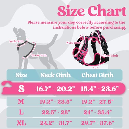rabbitgoo Dog Harness Small Sized, Updated Easy On & Off with 3 Buckles | No Pull No Choke, Walking with 2 Clips and Handle, Adjustable Soft Reflective, Mountain Rose, Small - color: Mountain Rose, size: Small