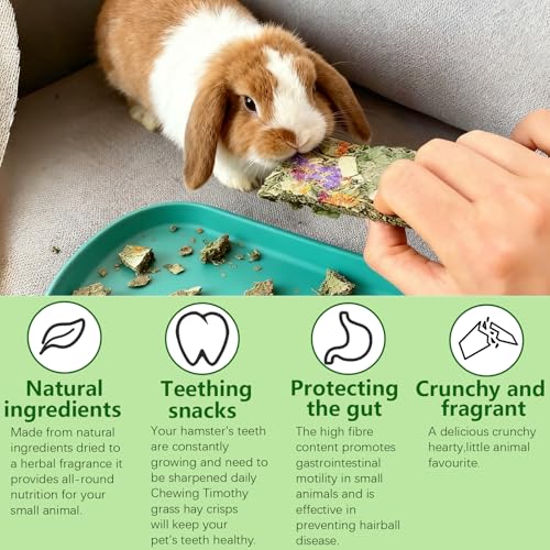 Hamiledyi Rabbit Chew Toys 24 Pcs Guinea Pig Chew Toys for Teeth Natural Grinding Teeth for Chinchilla Bunny Hamster Gerbil Rat Small Animals - size: Mix 24Pieces