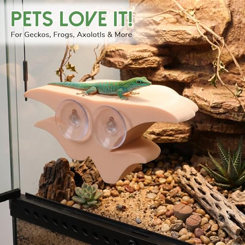 Mushroom Decor Climbing Hold Reptile Tank Pet-Safe Bearded Dragon | Tank Accessories, Climbing Rest Platform Habitat, Concealed Jumping Spider Habitat, Gecko Lizards Leopard, Turtle Hermit Crab