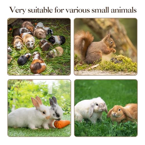 5-Tier Rolling Ferret Cage Large, 60" H Small Animal Mansion for Chinchilla/Squirrel, Multi-Level Habitat with Hammock, Lockable Doors & Ramps, Ideal for Pet Rodents, with Sturdy Back Panel
