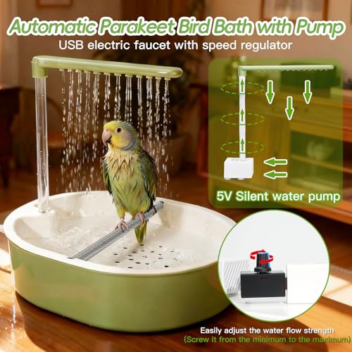 Parakeet Bird Bath - Parrot Shower for Budgie Cockatiel Lovebird and Conure | Stainless Perch, Adjustable Water Flow Fountain, Automatic, Large Parrot Shower, Indoor
