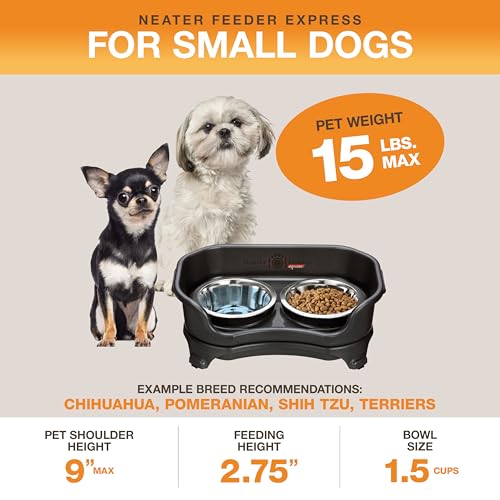 Neater Feeder Express Mess Proof Dog Bowls Elevated for Small Breeds Under 15 Lb, Made in USA, No Spill Raised Dog Food Bowl Stand, Stainless Steel Food and Water Bowl Set, Feeding Station, Black - color: Midnight Black, size: Small w/ Standard Bowls