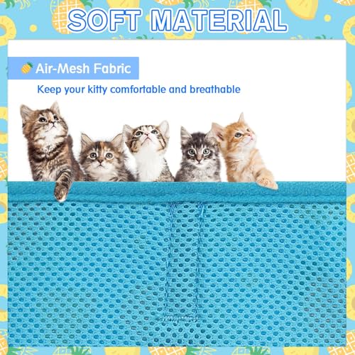 PUPTECK Soft Mesh Cat Vest Harness and Leash Set Puppy Padded Pet Harnesses Escape Proof for Cats Small Dogs Rabbits Bunny - color: Blue(Pineapple), size: M(NECK 7", CHEST 10.5", 4-6 lbs)