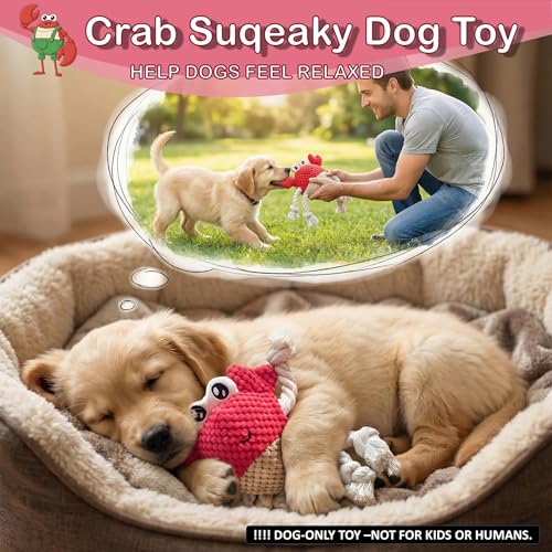 Plush Squeaky Crab Dog Toy with Rope Legs - 5.5''X9.5'' Durable Dog Chew Toy for Small Dogs | Built-in Whistle Sounds | Teeth Cleaning | Interactive Dog Toys （RED）