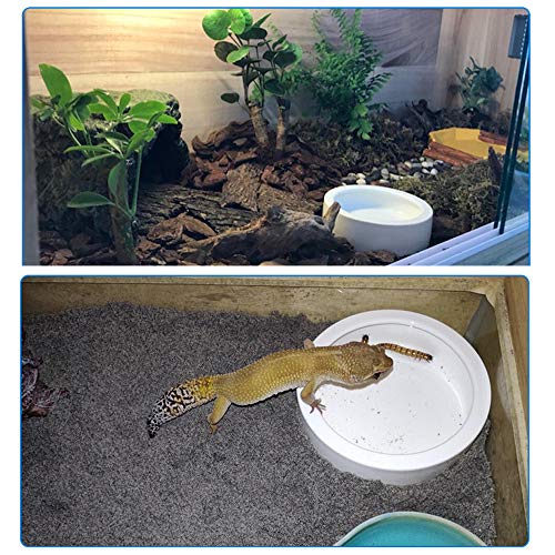 Reptile Food Water Bowl, 2 pcs Ceramics Worm Dish,Anti-Escape Reptile Water Feeder,Mealworm Bowl for Lizard Gecko Bearded Dragon, (S,M,L) (Medium) - size: Medium