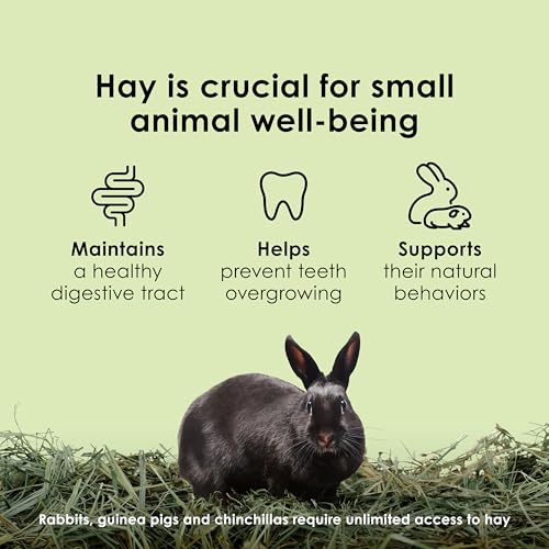 Kaytee Wafer Cut All Natural Timothy Hay for Pet Guinea Pigs, Rabbits & Other Small Animals, 60 Ounce - size: 3.75 Pound (Pack of 1)