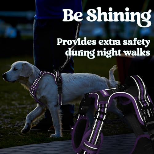 rabbitgoo Dog Harness Small Sized, Updated Easy On & Off with 3 Buckles | No Pull No Choke, Walking with 2 Clips and Handle, Adjustable Soft Reflective, Black & Purple, Small - color: Black & Purple, size: Small