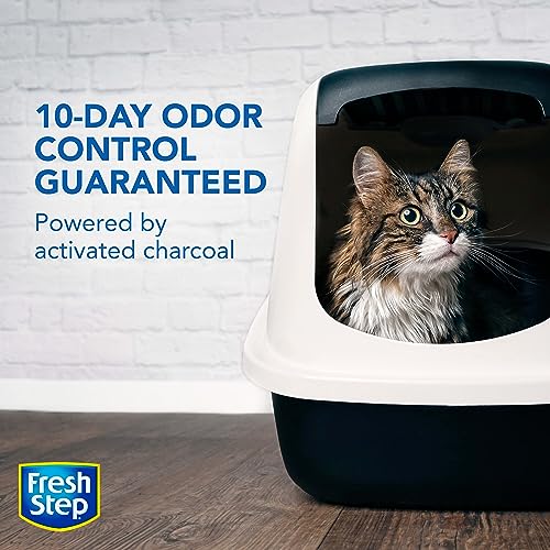 Fresh Step Cat Litter, Unscented, Odor Control | Clumping Formula | Activated Charcoal | 14 lb | Pack of 2 - size: 14lb (Pack of 2)