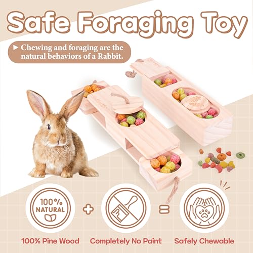 SoulThink® Advanced Interactive Wooden Pet Rabbit Toys - Sniff n' Snack Bunny Chew Toys for Rabbit Treats, Suited for Chinchilla Foraging, Guinea Pigs Boredom, and Hamster Enrichment (2 Set) - style: Sniff n' Snack - Advanced
