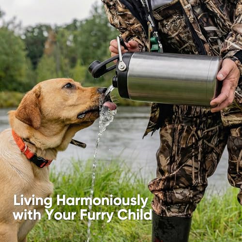 Fijinhom Half Gallon Insulated Water Bottle for Travel: 2-in-1 Straw and Spout Lid, Keep Cold 24Hrs, Leakproof, 64oz Water Jug With Handle, Vacuum Stainless Steel for Sports, Hiking, Trip(Stainless) - color: Stainless, size: 64 Ounces