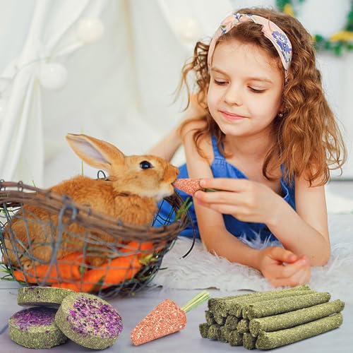 KATUMO Timothy Hay Sticks, Rabbit Chew Sticks Bunny Chew Toys for Teeth | 24pcs, Healthy Rabbit Food, Rabbit Chew Toys for Teeth, Suitable for Rabbits, Guinea Pigs Hamster Chinchilla and Small Pets - size: 0.37 Ounce (Pack of 24)