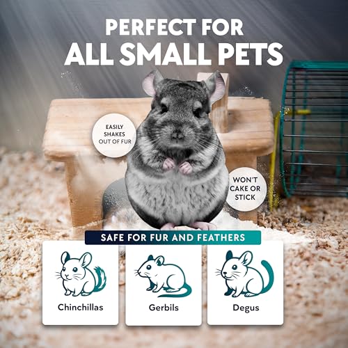 6 LB. Chinchilla Dust Bath Jar - Pure Cleansing Pumice Sand Dust for Cleaning Small Pets Like Gerbils, Mice, Degu - Premium, All Natural Dusting Powder - Chinchilla Accessories by Billy Buckskin - size: 6 Lb.