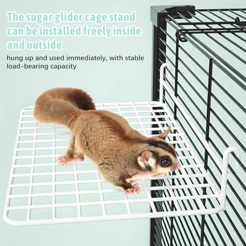 BNOSDM Rat Cage Platform with Ladder 4 PCS Small Animals Cage Accessories Metal Guinea Pig Climbing Toy for Sugar Glider, Chinchillas, Squirrel, Gerbils, Mouse Standing Jumping - color: White