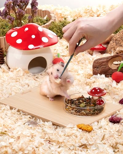 Niteangel Hamster Feeding & Food Bowls: Mushroom Glass & Chew-Resistant | Easy to clean & Stable Food Dish Feeding Bowls for Dwarf Syrian Hamsters Gerbils Mice Rats or Other Similar-Sized Small Pets - size: Feeding Bowl