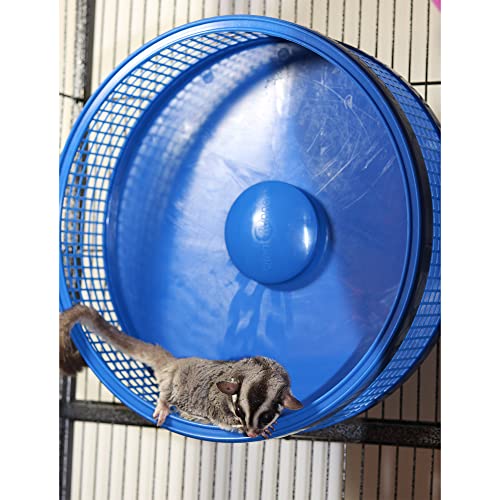 Silent Runner Pro | Sugar Glider Exercise Wheel (Blue with Stand) - color: Blue with Stand