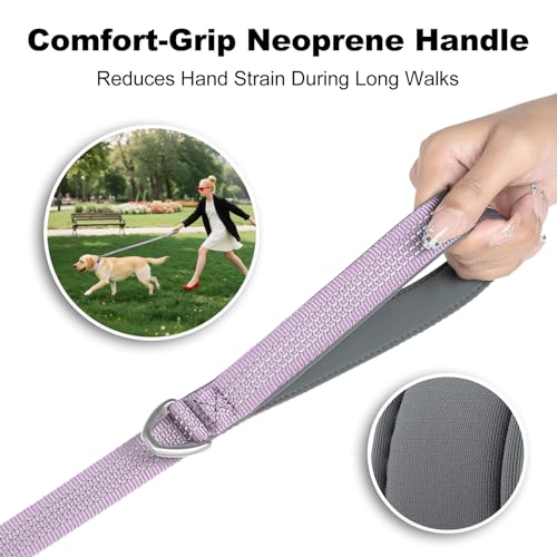 Plutus Pet Heavy Duty Dog Leash with Lockable Aluminum Carabiner, 6 FT Long | Double-Sided Reflective Nylon, Padded Handle, Heavy Duty, for Puppy Small Medium and Large Dogs (Purple, 1" x 6') - color: Lilac Purple, size: 1" x 6'
