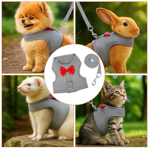Bunny Harness and Leash Set, Soft Breathable Mesh Rabbit Leash Vest with Safety Buckles, Lightweight Escape-Proof Walking Gear for Rabbits, Kittens, Ferrets, Guinea Pigs, Grey M - color: Grey