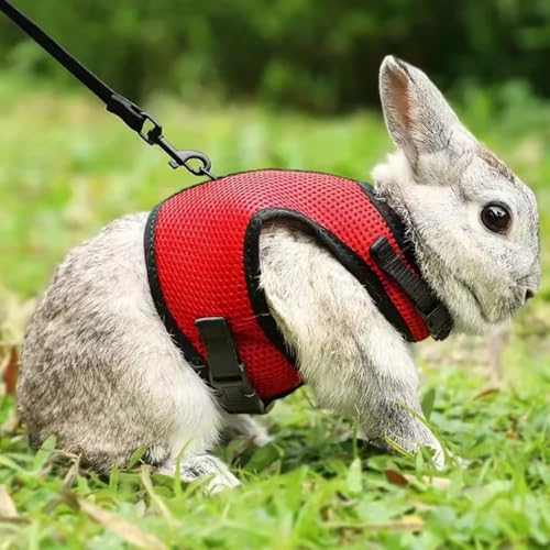 Bunny Harness and Leash Set Escape Proof Rabbit Harnesses Mesh Vest Red M | Soft Adjustable Buckle for Ferret Guinea Pig Hamster Squirrel Rat Walking Small Animal Pets - color: Red, size: M (Neck:5.5"-7" Chest:6.2"-8.5")