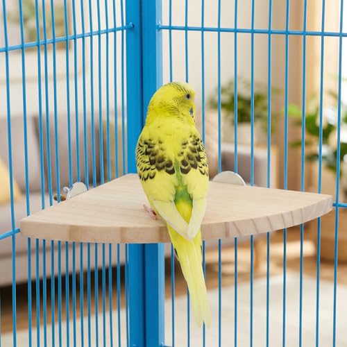 6.7 Inch Fan-Shaped Perch Bird Platform, Natural Wood Flat Perches for Bird Cages, Parrot Perch Corner Stand, Small Parrot Stand Animal Cage Accessories for Hamsters Gerbils