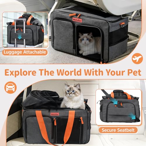 Soft Sided Cat Pet Dog Carrier, Large Airline Approved Travel Bag | Top Loading Breathable Mesh, Foldable Expandable Design, Fits Kittens & Puppies Up to 15 Lbs, Comfy for Transport Scenarios