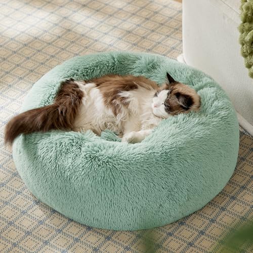 Bedsure Calming Cat Beds Donut Round Washable Kitten Bed,20 inches | Fluffy Faux Fur Cuddler,Anti-Slip Bottom,Anti-Anxiety,Deep Sleeping for Cats&Small Pets Up to 15 Lbs,Apple Green - color: Apple Green, size: 20"L x 20"W x 6"Th