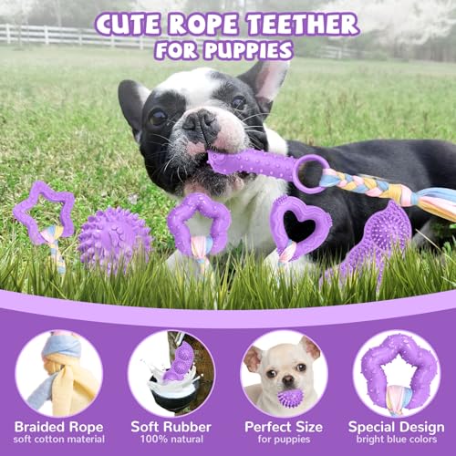 ABRRLO 6 Pack Puppy Teething Toys Cute Purple Puppy Chew Toys for Teething Small Breed Dog Chew Toy Interactive Pet Toy Set for Puppies to Keep Them Busy Soft Durable Small Breed Doggy Chewing Ball - color: Purple