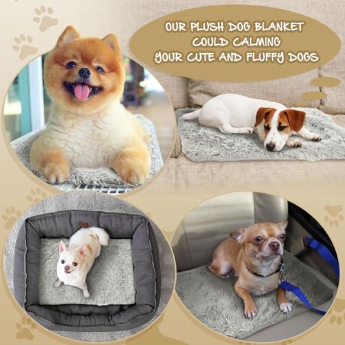 2 Pcs Guinea Pig Warm Bed Mat Small Pet Blankets Dog Bedding Guinea Pig Fleece Cage Liners Washable Waterproof Mats Sleep Pad Cover Hamster Cat Dog Cage Liners Accessories(Rectangle,24 x 16)