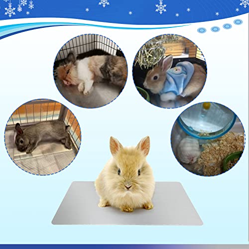 Rabbit Cooling Pad, 11.8x7.9 in Hamster Cooling Mat Pet Cool Plate for Rabbit Bunny Hamster Guinea Pig & Other Small Pets Stay Cool This Summer - Bite Resistance Pet Cooling Pad Ice Bed - size: 1 PCS