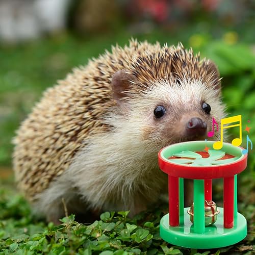 4 Pcs Toys for Hedgehogs Small Animal Accessories, Hedgehog Toys For Cage And Bell Ball, Hedgehog Enrichment Toy, Funny Balls Toy For Hamster Ferret Chinchilla Cat, Hedgehogs Accessories (Ball Bell)