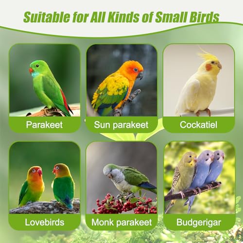 2 Pack Automatic Bird Cage Water Dispenser, 4.73 oz Parakeet Water Feeder | Water Dispenser for Birds, 4.73 oz Tank, Gravity Flow Helps Reduce Mess, Rotating Cage Clip, Budgies Cockatiels Lovebirds - color: Blue, size: 2PCS Water Dispenser
