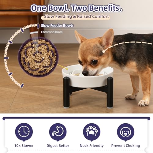 Elevated Slow Feeder Dog Bowl, 0.8 Cups Ceramic Raised Slow Feeder with Stainless Stand, 6.3 Inch Wide Lifted Dog Bowl for Small Breeds to Control Eating Speed, Green - color: Green, size: Small with Stand