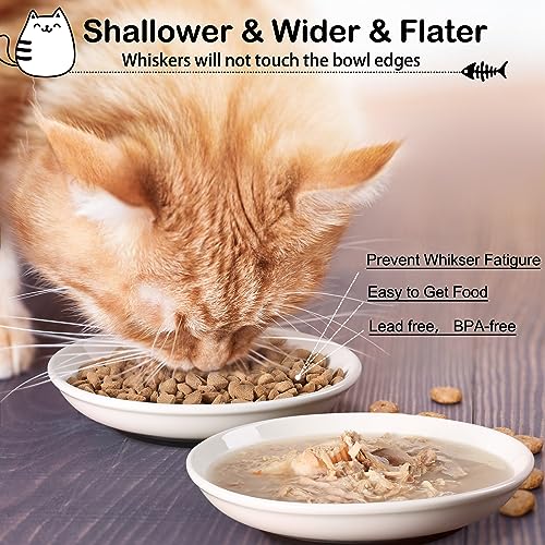 WROSWT Cat Food Bowl,Healthy Ceramic Cat Bowls for Indoor Cats,Anti Whisker Fatigue Cats Dishes Set,Shallow Wide Kitten Plates for Food and Water,Non-Slip Silicone Bottom,6 Pack - size: Shallower-6 Pack