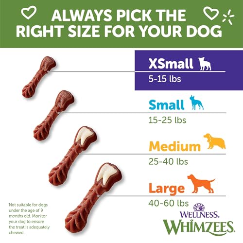 Wellness Whimzees Brushzees Natural Dog Dental Treat, VOHC Accepted Chews, Freshens Breath, Extra-Small Size, 12.7 oz Bag, 48 Count (Pack of 2) - size: 48 Count (Pack of 2)