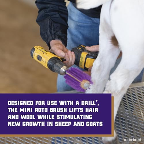 Weaver Leather Mini Roto Brush for Livestock, Wool/Hair Stimulating and Grooming Brush for Goat Sheep Cattle, Use with Drill, Coat Deshedding Tool
