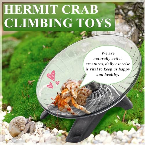 Hermit Crab Exercise Wheel - Silent Running Wheel for Crab Tank Accessories - Small Animal Wheel for Hamster Gerbils Hedgehogs - color: Gray