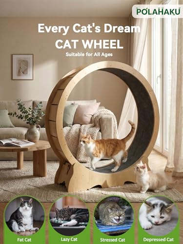 Cat Wheel for Indoor Cats, 48 Inch Diameter Exercise Running Wheel | Enhanced Base, Safety Lock, Quiet, For Cat's Longer Life Fitness, Wide Surface, Low-Entry Design, Easy Assembly, Natural Wood - color: Natural